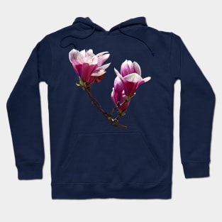 Magnolias - Delicate Magnolias Hoodie